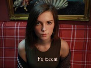 Felicecat