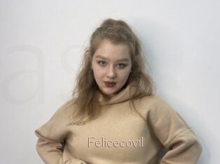 Felicecovil