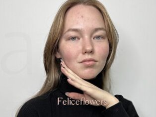 Feliceflowers