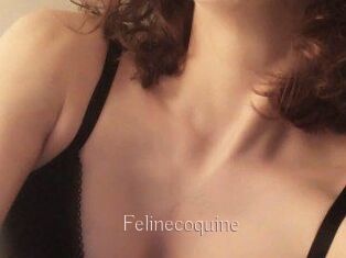 Felinecoquine