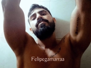 Felipegamarraa