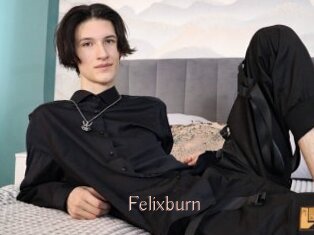 Felixburn