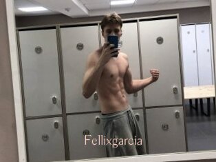 Fellixgarcia