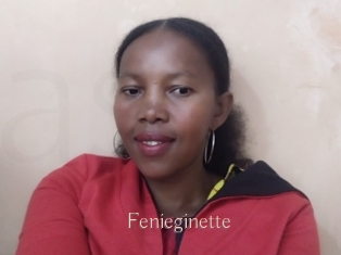 Fenieginette