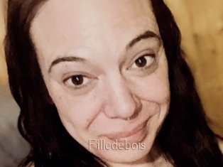 Filledebois