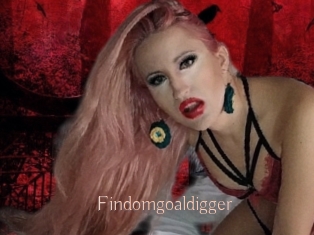Findomgoaldigger