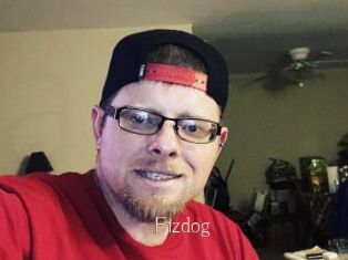 Fizdog