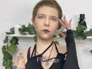 Flairfudge