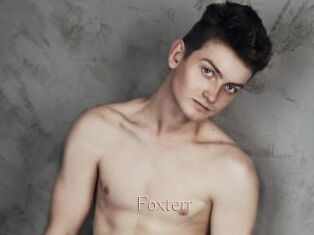 Foxterr