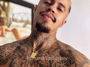 Ftmandrepussyboy