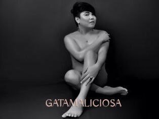 GATAMALICIOSA