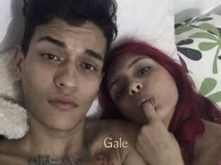 Gale