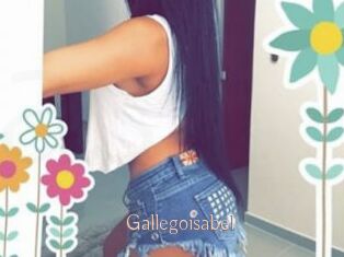 Gallegoisabel
