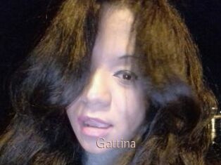 Gattina