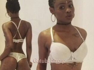 Gatubela_masc