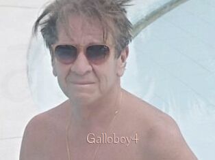 Galloboy4
