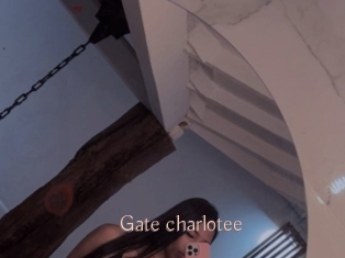 Gate_charlotee