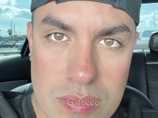 Gatoccc