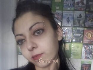 Gattahot