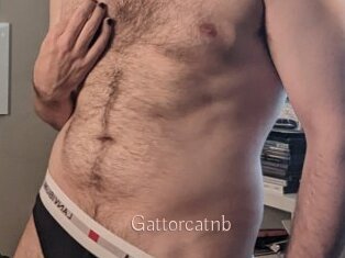 Gattorcatnb