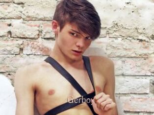 Gerboy