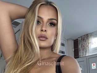 Ginaschmit