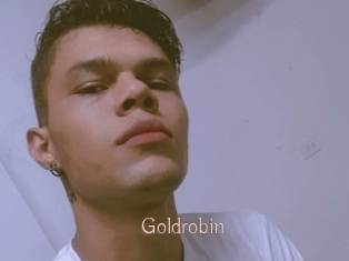 Goldrobin
