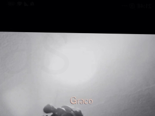 graco Anal Sexe