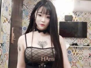 HAmi
