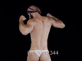 HEVAN12344