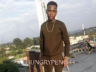 HUNGRYPENIS44 Anal Sexe