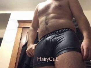 HairyCub