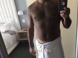 HairyDave