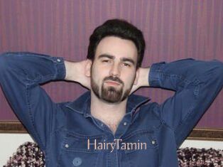HairyTamin