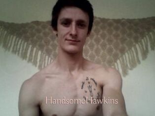 HandsomeHawkins