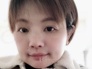 Haringo
