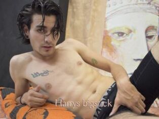Harrys_bigstick