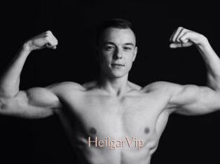 HeilgarVip