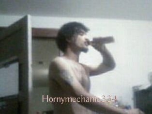 Hornymechanic334