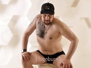 Hugoburn1