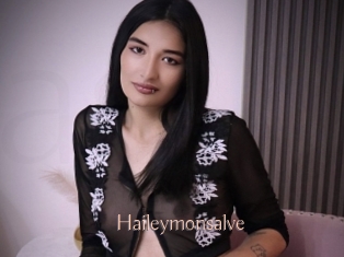 Haileymonsalve