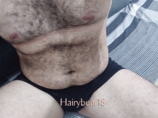 Hairybear18