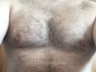 Hairybodyboy
