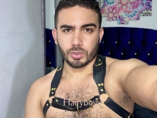 Hairyboyx