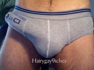 Hairygay9iches