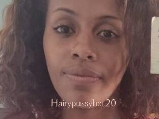 Hairypussyhot20
