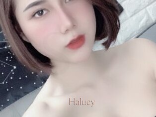 Halucy