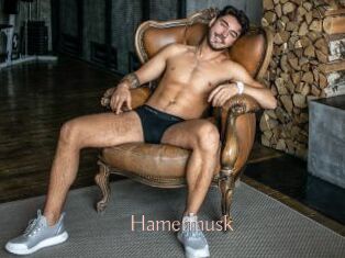 Hamermusk
