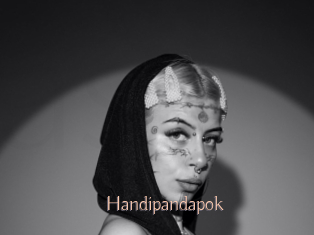 Handipandapok