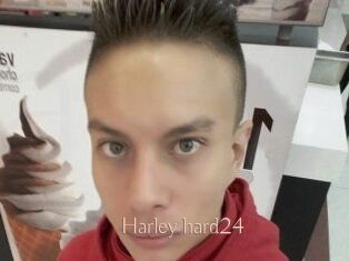 Harley_hard24